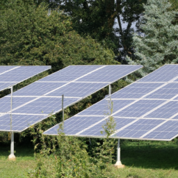 Comment Entretenir Vos Panneaux Solaires Photovoltaïques ? Le Cannet